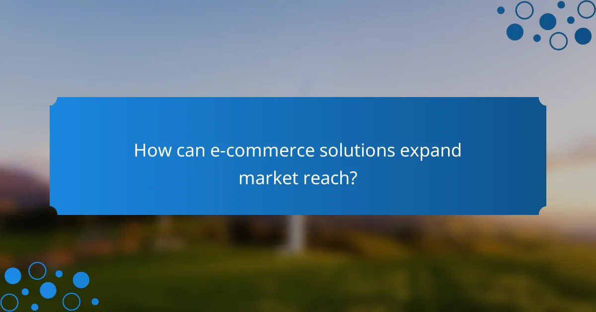 How can e-commerce solutions expand market reach?