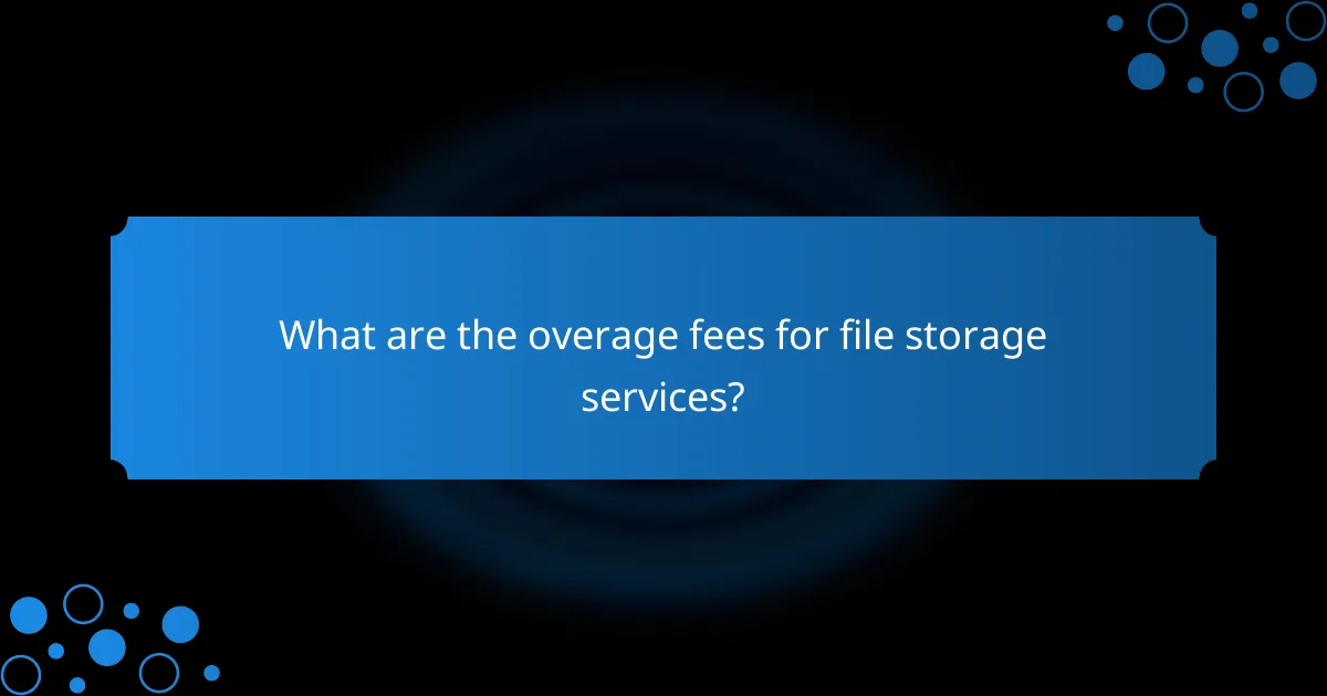 What are the overage fees for file storage services?