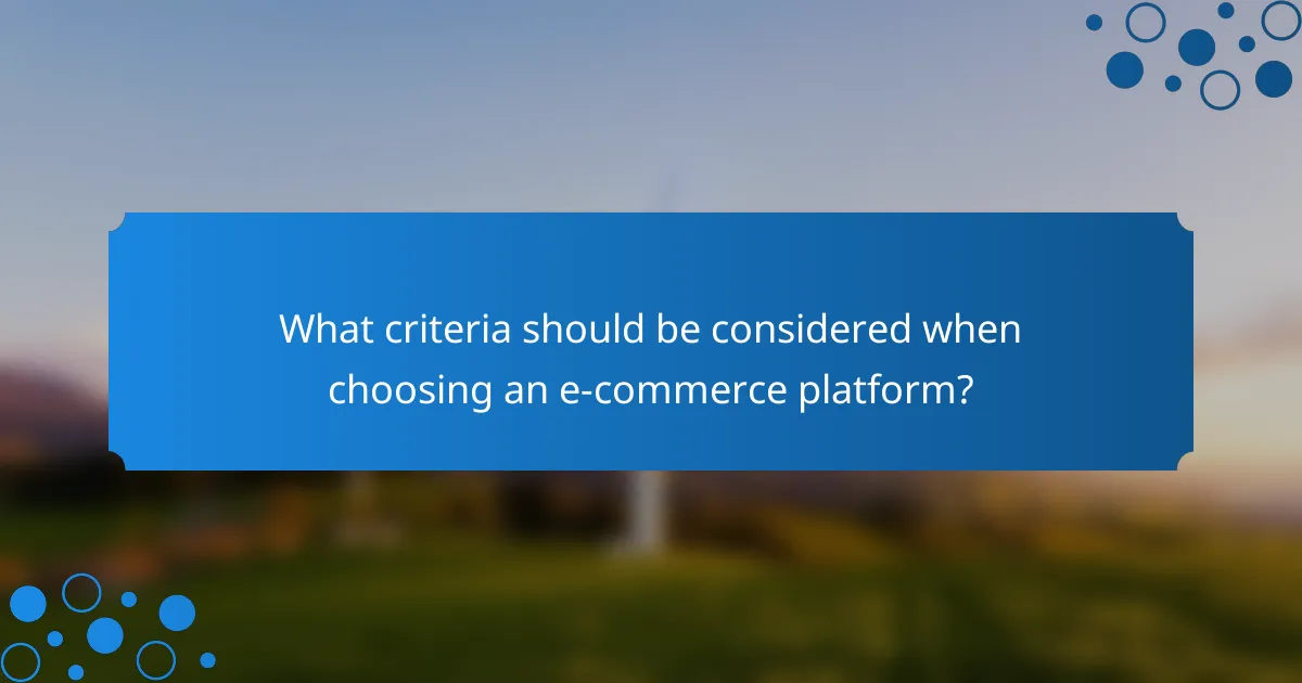 What criteria should be considered when choosing an e-commerce platform?