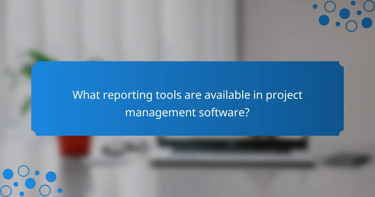 What reporting tools are available in project management software?